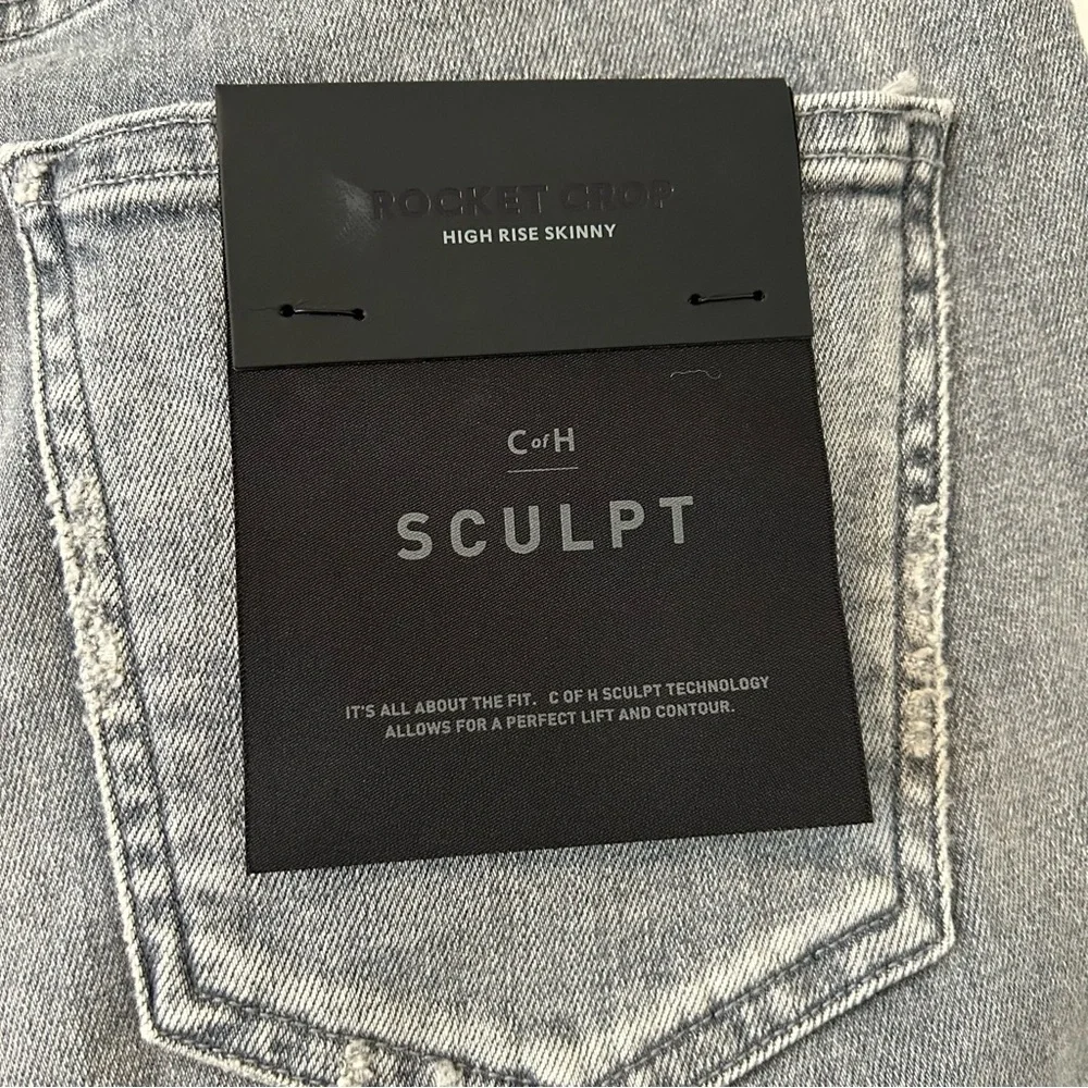 Citizens of Humanity Sculpt Rocket Crop High Rise Skinny Jeans